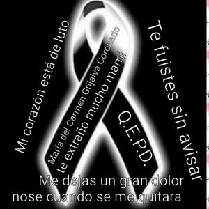 Meet your Posher, Lizeth